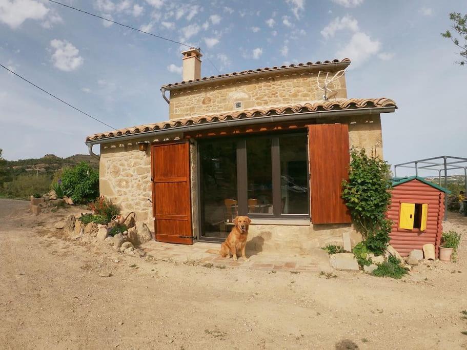 Cal Sastre Villa Olius Luaran gambar